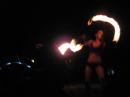 Firefly 2012 021