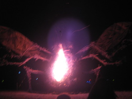 Firefly 2012 026