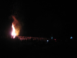 Firefly 2012 063
