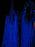 Firefly 2012 097