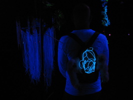 Firefly 2012 104