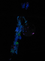 Firefly 2012 109