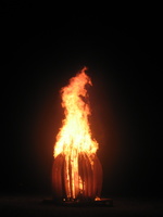 Firefly 2012 135