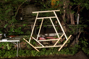 Firefly2012 001