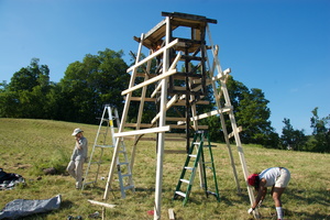 Firefly2012 012