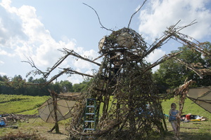 Firefly2012 056