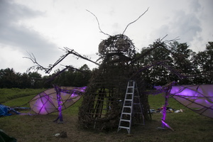 Firefly2012 063