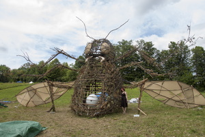 Firefly2012 069