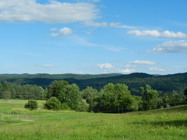 DSCN1516