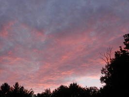 DSCN1572