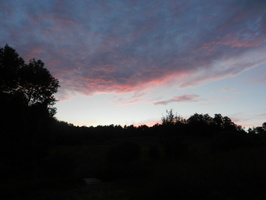 DSCN1573