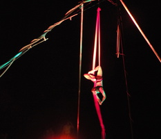Silks 1035
