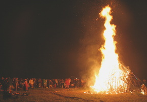 FF08BugBurn 