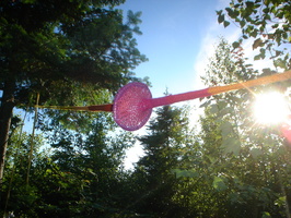 DSC06448