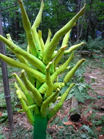 2011-07-01 1560 B