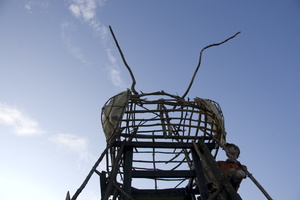 Joed Firefly09 022