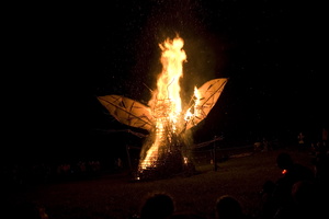 Joed Firefly09 072