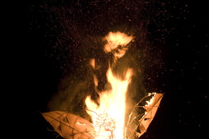 Joed Firefly09 077