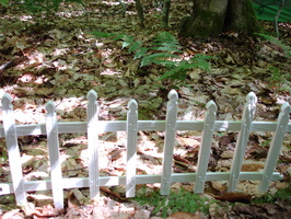 DSC01507