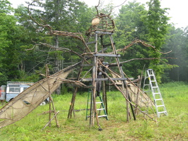 IMG 0780