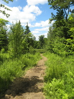 IMG 0815