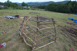 Firefly2010 07