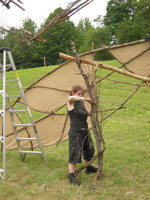 Firefly2010 13