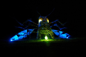 Firefly2010 39