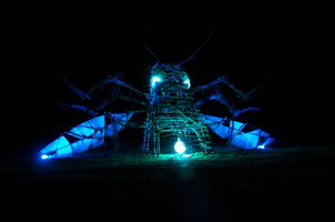 Firefly2010 40