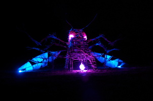 Firefly2010 41