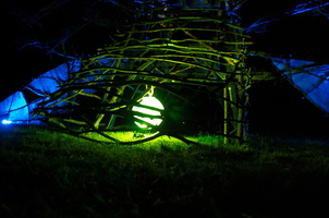Firefly2010 43
