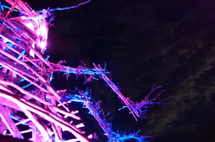 Firefly2010 46