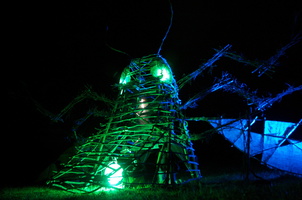 Firefly2010 49