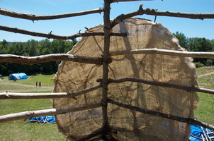 Firefly2010 50