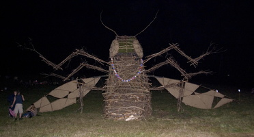 Firefly2010 71