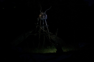 Joed Bug15