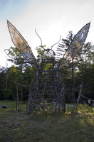 Joed Bug19