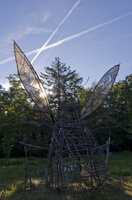 Joed Bug20