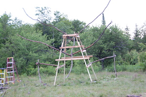 08