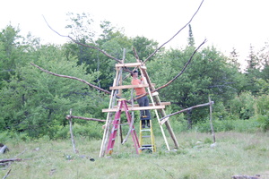 09