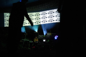 31