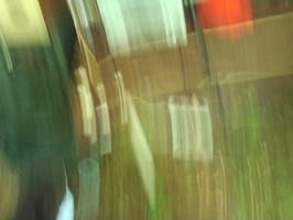 DSC00711