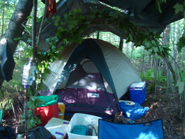 DSC00782