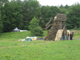 Bug Build 2012