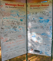 Board-8