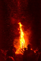 Bug Burn-2