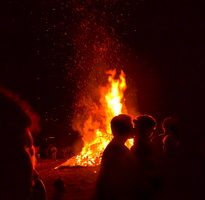 Bug Burn-3