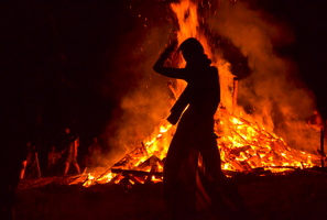 Bug Burn-4