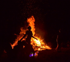 Bug Burn-10