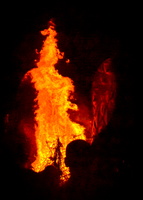 Bug Burn